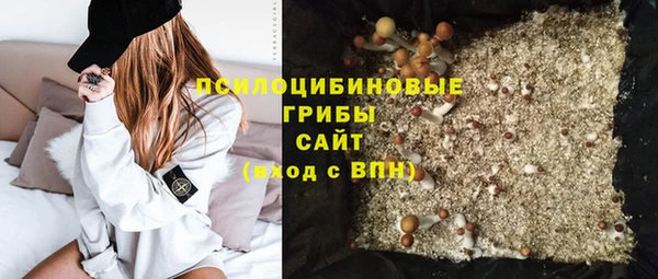 мдпв Болхов