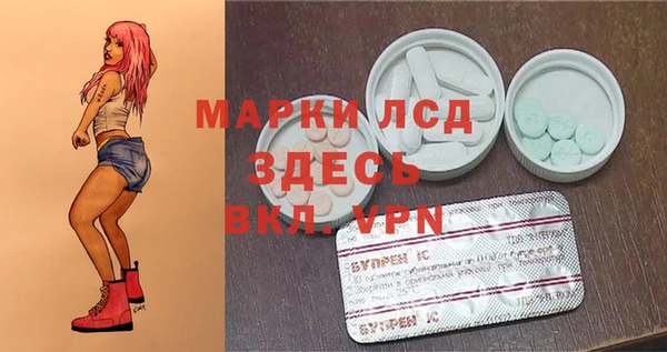 PSILOCYBIN Навашино