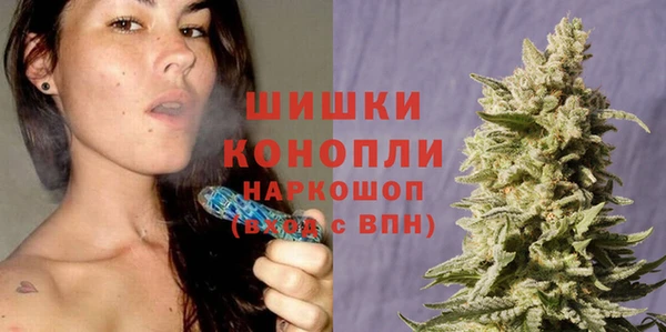 мдпв Болхов